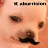 K aburrision