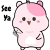 KIKI HAMSTER 13