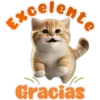 🐱Lindo michi🐱 6