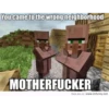 Minecraft 11
