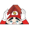 Mario 6