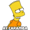 The Simpson 13