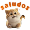 🐱Lindo michi🐱 7