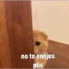 Gatito Tierno 7