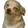 Animaizinhos dogs 8