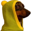 Animaizinhos dogs 9