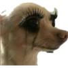Animaizinhos dogs 10