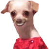 Animaizinhos dogs 11
