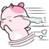 KIKI HAMSTER 16