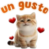 🐱Lindo michi🐱 8