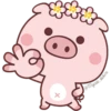 Un cerdito bonito 11