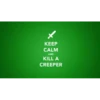 Minecraft 15