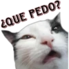 ¿QUE PEDO?