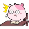 KIKI HAMSTER 17