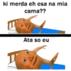 Triste 13