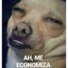 Animaizinhos dogs 12