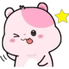 KIKI HAMSTER 19