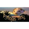 idk xD 12
