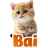 🐱Lindo michi🐱 9