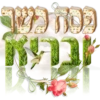 מנה מר
ברא