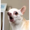 asdfg 14