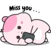 KIKI HAMSTER 20