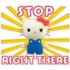 STOP
RIGHT THERE