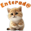 🐱Lindo michi🐱 10