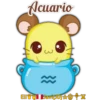 Acuario
3
≈
Eli Javi(JD) A*X