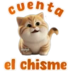 🐱Lindo michi🐱 11