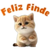 🐱Lindo michi🐱 13