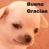 Bueno
Gracias