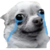 Animaizinhos dogs 13