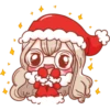 Little SANTA 12
