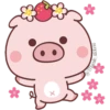 Un cerdito bonito 17