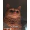 Pathetic