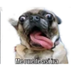 Me quede asi ira