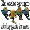 En este grupo
Jan Omer
30
solo hay gente hermosa