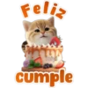 🐱Lindo michi🐱 14