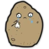 POTATO#1 19