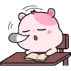 KIKI HAMSTER 24