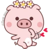 Un cerdito bonito 20