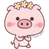 Un cerdito bonito 21