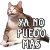 YA NO
PUEDO
MAS
