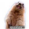JUAANNNN!!!