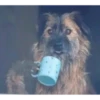 Animaizinhos dogs 16