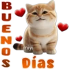 🐱Lindo michi🐱 17