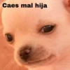 Caes mal hija