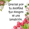 GRACIAS POR TU AMISTAD BLANCA AT 22