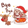 Little SANTA 21